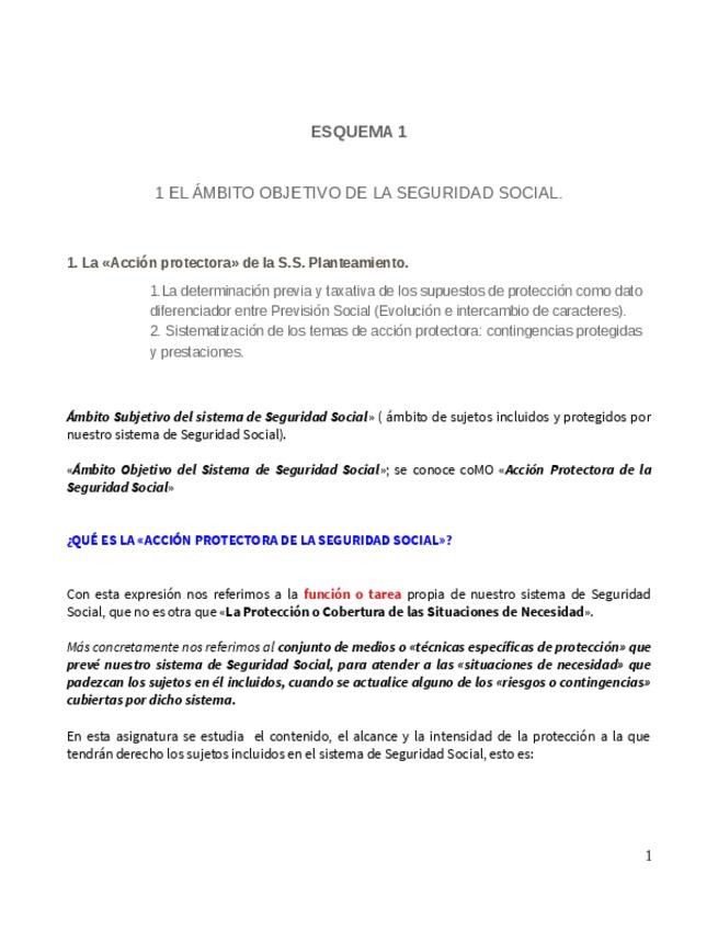 Miniatura del documento 1-Esquema-Accion-Protectora.pdf