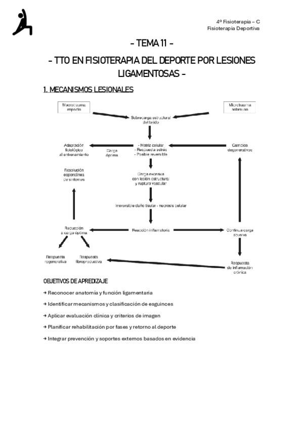 Miniatura del documento TEMA-11-FISIOTERAPIA-DEPORTIVA.pdf