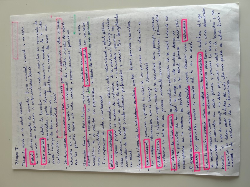 Miniatura del documento IMG8099.jpeg