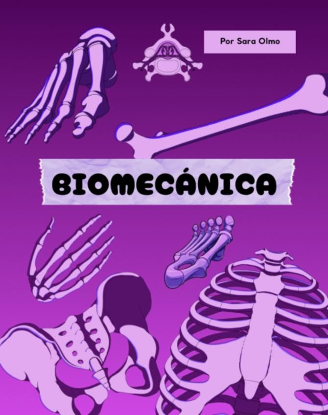 Miniatura del documento T4-PRINCIPIOS-BASICOS-PARTE-1.pdf