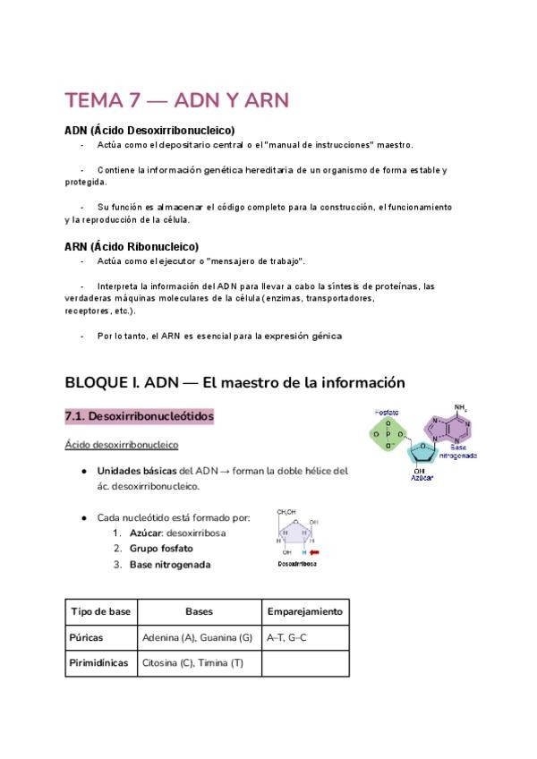 Miniatura del documento TEMA-7-ADN-Y-ARN.pdf