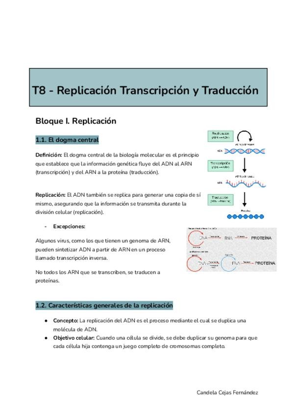 Miniatura del documento T8-Replicacion-Transcripcion-y-Traduccion.pdf
