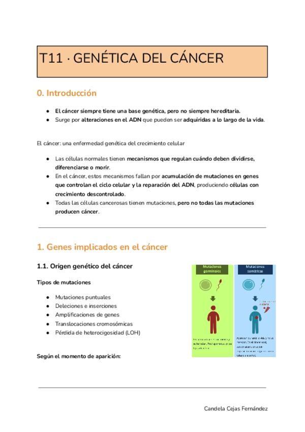 Miniatura del documento TEMA-11.pdf