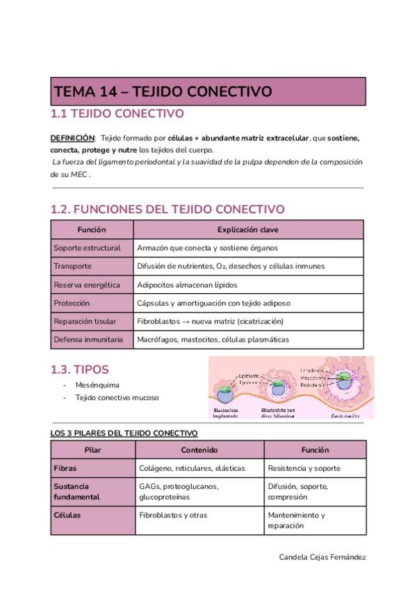 Miniatura del documento TEMA-14-TEJIDO-CONECTIVO.pdf