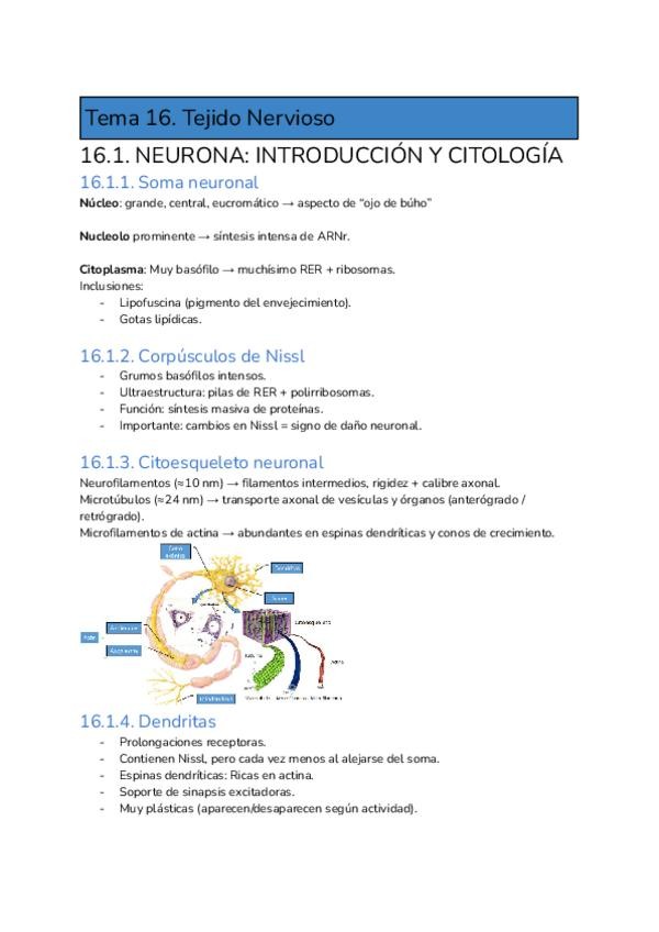 Miniatura del documento Tema-16.pdf