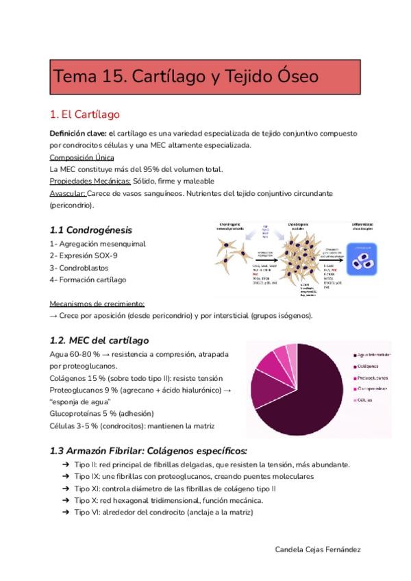Miniatura del documento Tema-15.pdf