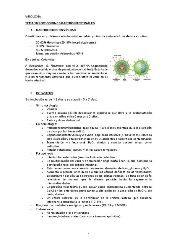 Miniatura del documento TEMA-10.pdf