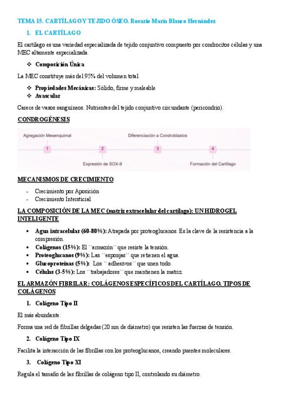 Miniatura del documento TEMA-15.-CARTILAGO-Y-TEJIDO-OSEO.pdf
