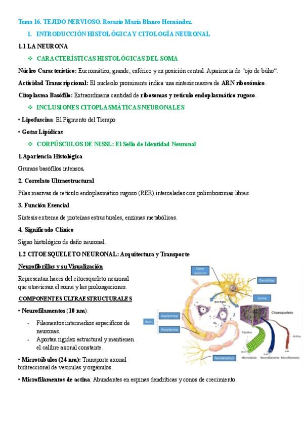 Miniatura del documento Tema-16.TEJIDO-NERVIOSO.pdf