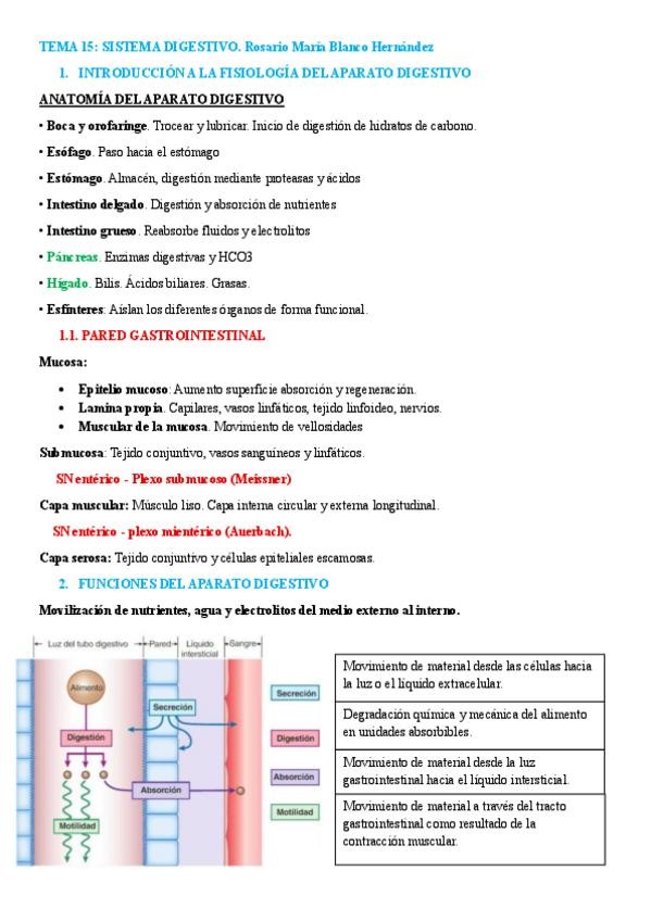 Miniatura del documento TEMA-15.-SISTEMA-DIGESTIVO.pdf