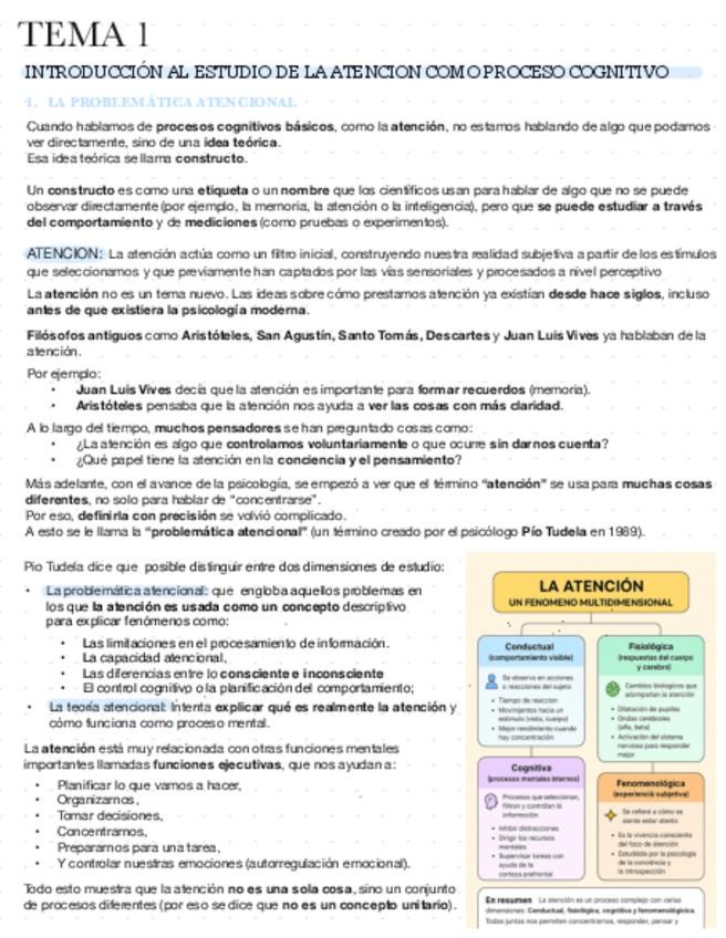 Miniatura del documento TEMA-1.pdf