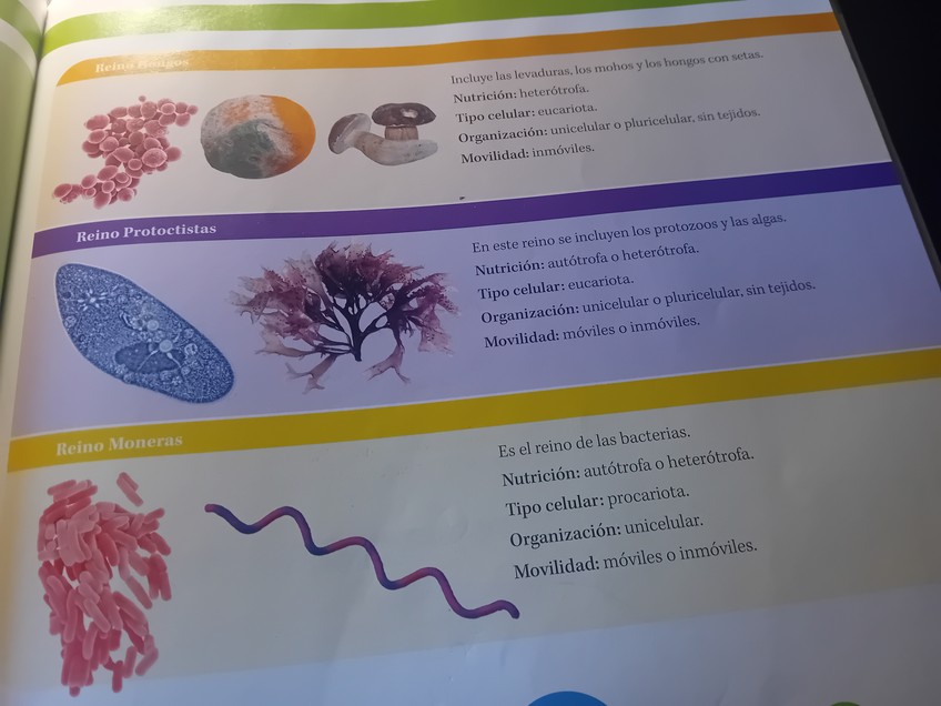 Miniatura del documento 20260202170108.jpg