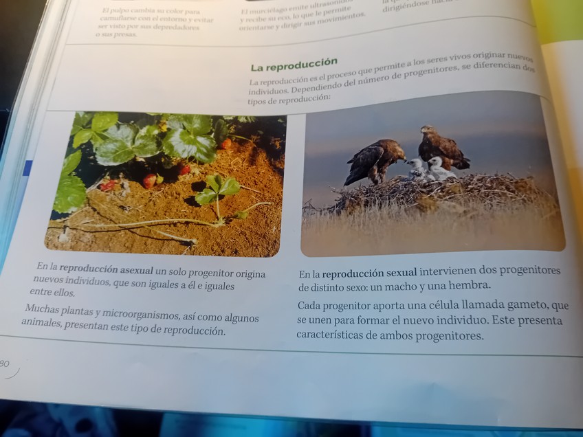 Miniatura del documento 20260202170023.jpg