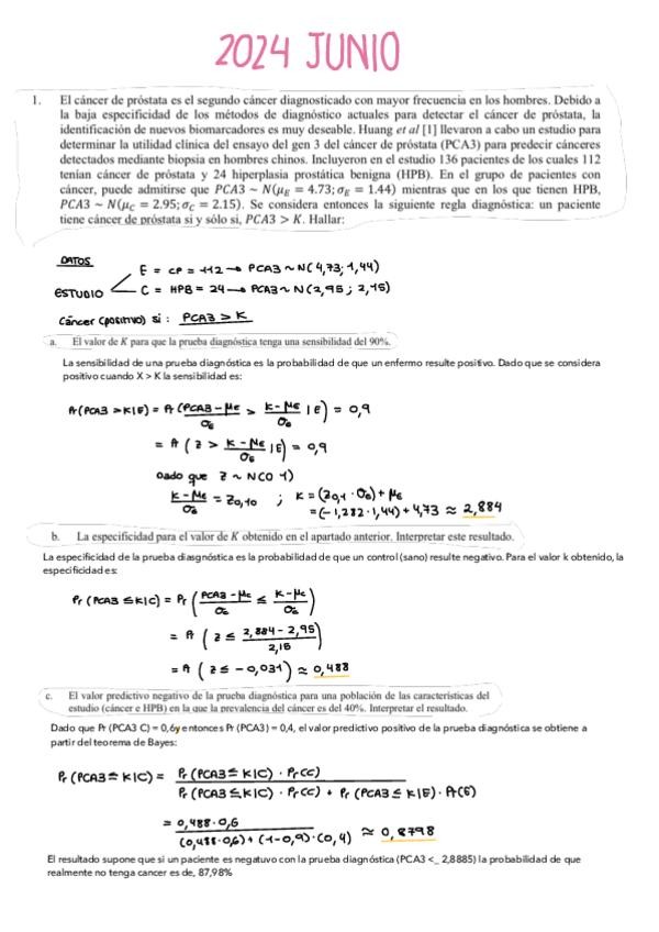 Miniatura del documento 2024-junio.pdf