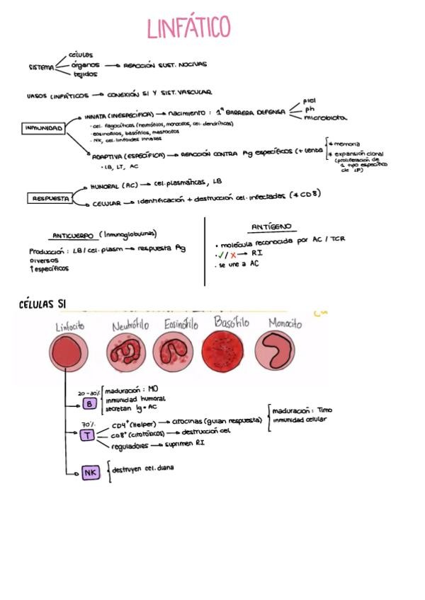 Miniatura del documento SISTEMA-LINFATICO.pdf