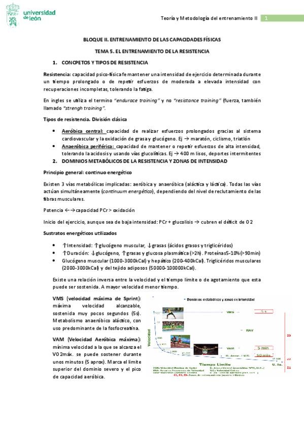 Miniatura del documento TME-II.pdf