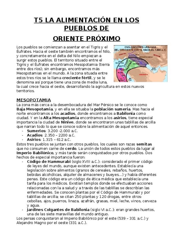 Miniatura del documento T5.docx