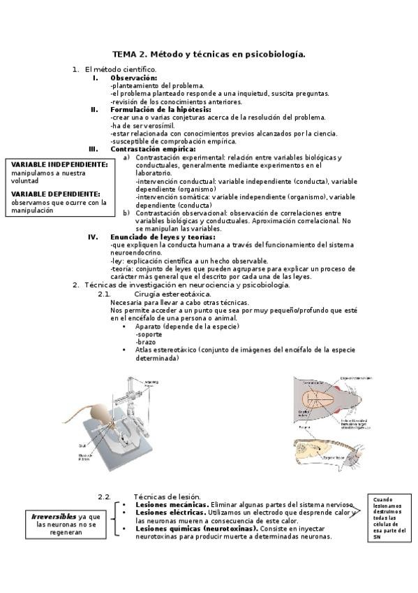 Miniatura del documento TEMA 2.docx