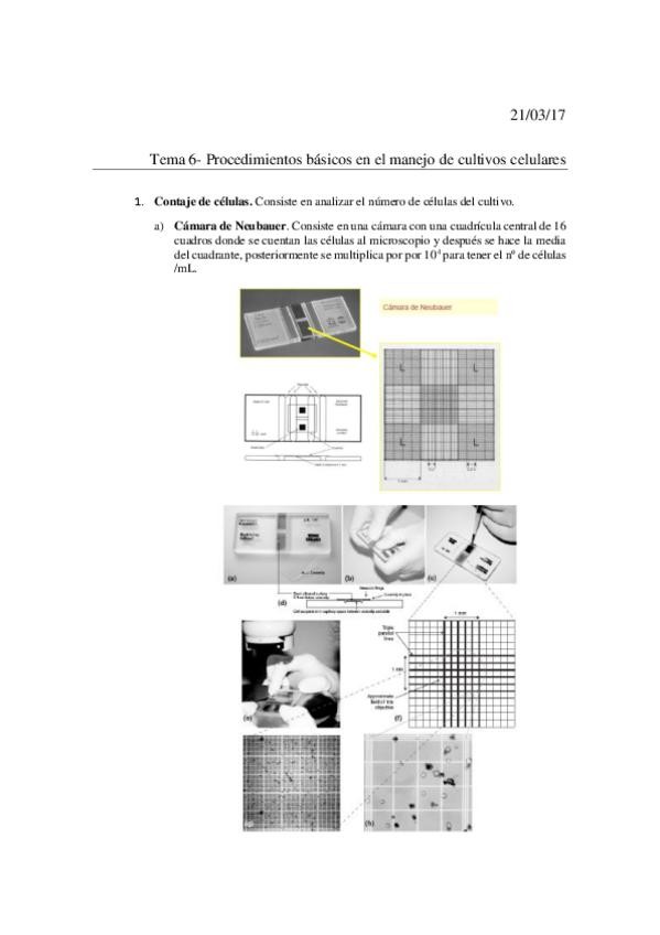 Miniatura del documento Tema 6- Procedimientos básicos en el manejo de los cultivos celulares.pdf
