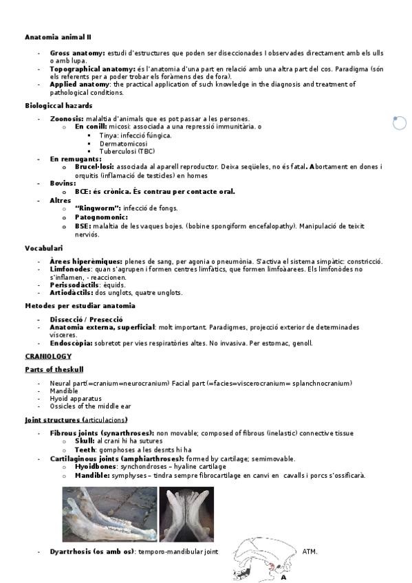 Miniatura del documento Skull.docx