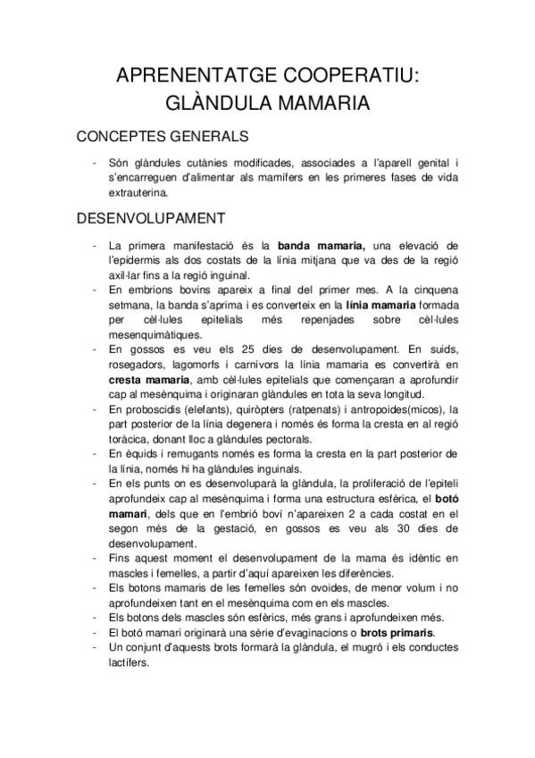 Miniatura del documento APRENENTATGE COOPERATIU.docx