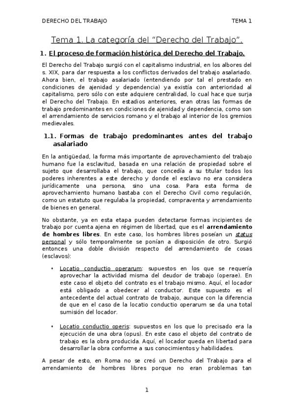 Miniatura del documento Tema 1- Dcho. del Trabajo.docx