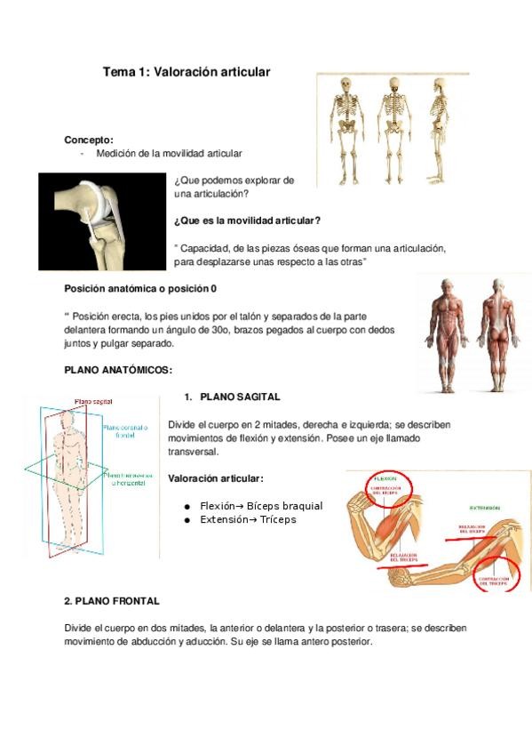 Miniatura del documento Tema 1-2.docx