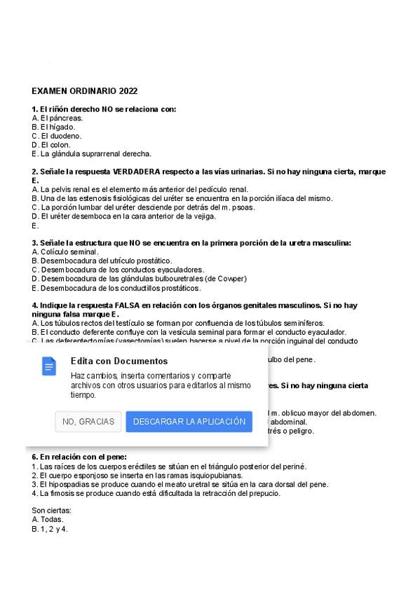 Apuntes de Anatomía Humana I | Grado en Medicina (UVA)