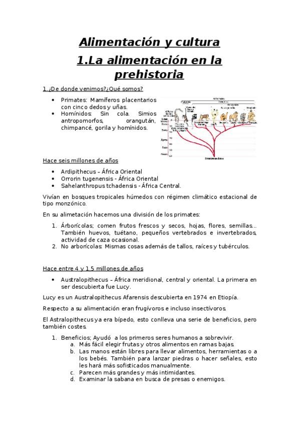 Miniatura del documento Tema 1.docx