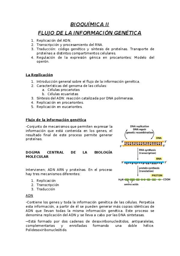Miniatura del documento 1. BIOQUÍMICA II.docx