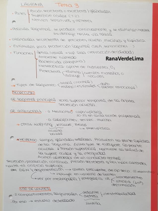 Miniatura del documento Tema 3 Lagrima.pdf