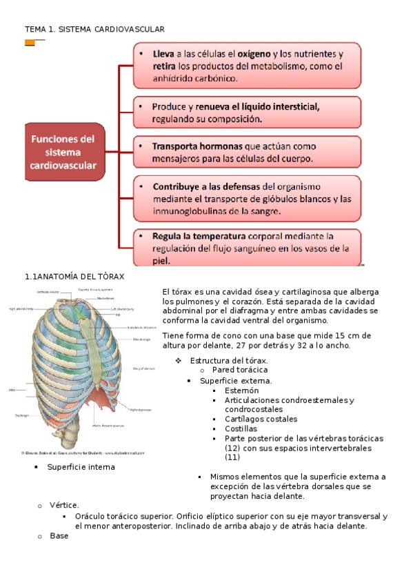 Miniatura del documento tema 1.docx