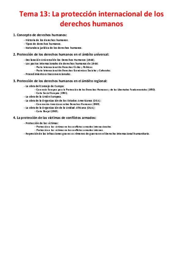 Miniatura del documento Tema 13 - La protección internacional de los derechos humanos.pdf