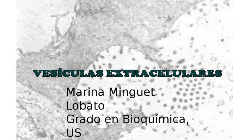 Miniatura del documento EVs Seminario.pptx