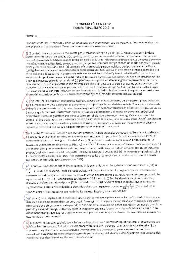 Miniatura del documento Final enero 2019.pdf