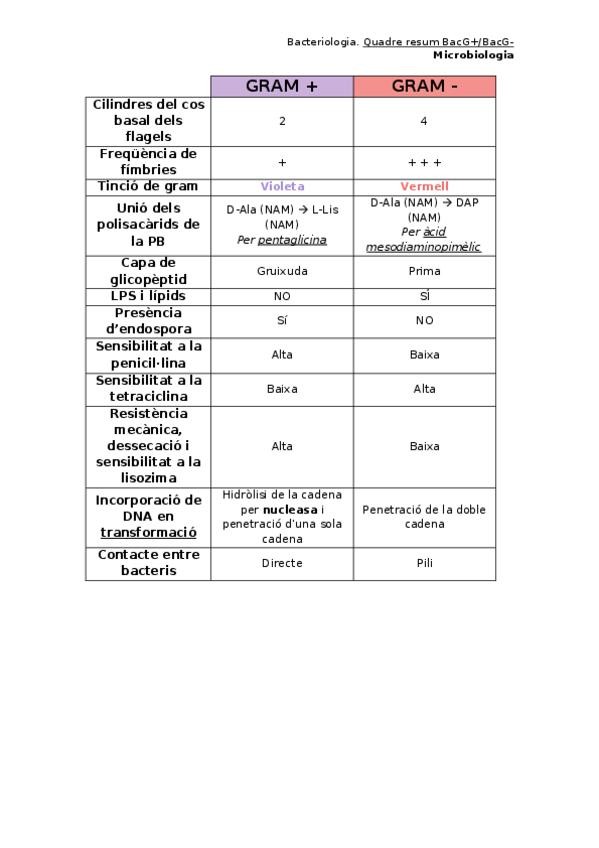 Miniatura del documento Resum-BacGBacG-.docx