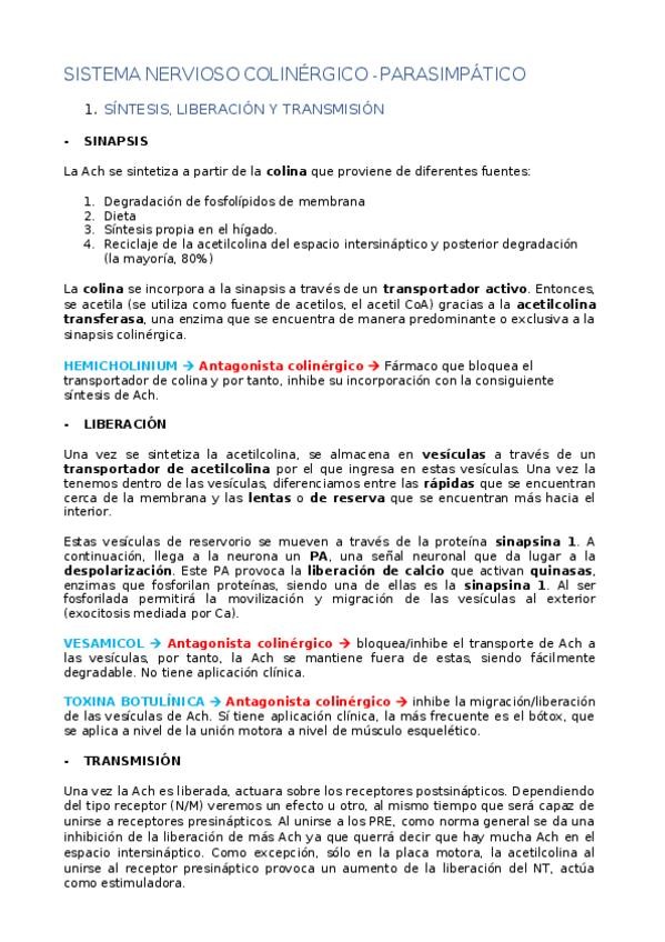 Miniatura del documento 2.-Sistema-colinergico.docx