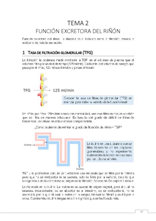Miniatura del documento TEMA-2.pdf