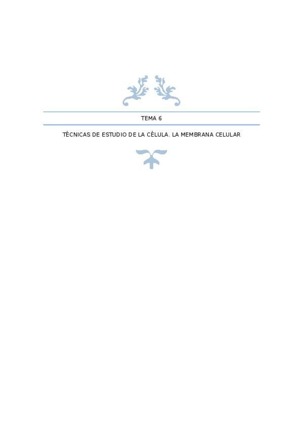 Miniatura del documento TEMA-6-TECNICAS-DE-ESTUDIO-DE-LA-CELULA.docx