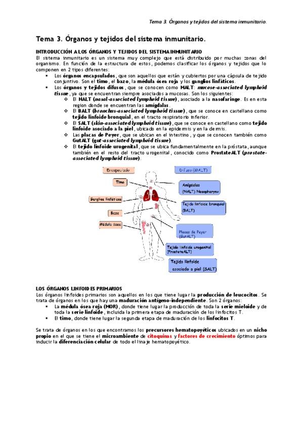Miniatura del documento Tema-3.pdf