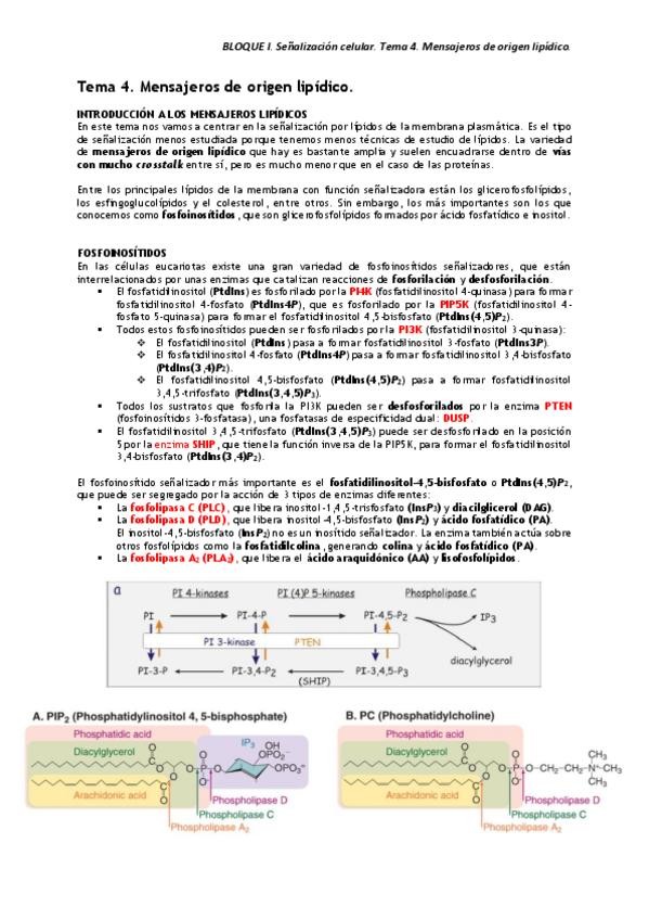 Miniatura del documento BLOQUE-I.pdf