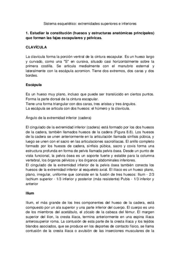 Miniatura del documento Sistema-esqueletico-extremidades-superiores-e-inferiores.docx