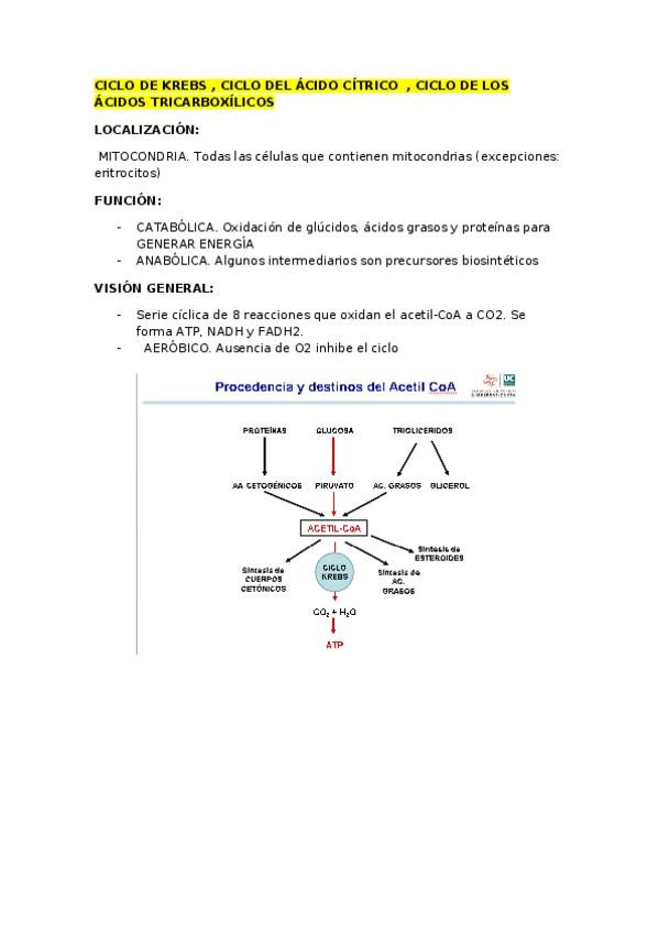 Miniatura del documento TEMA-12.docx