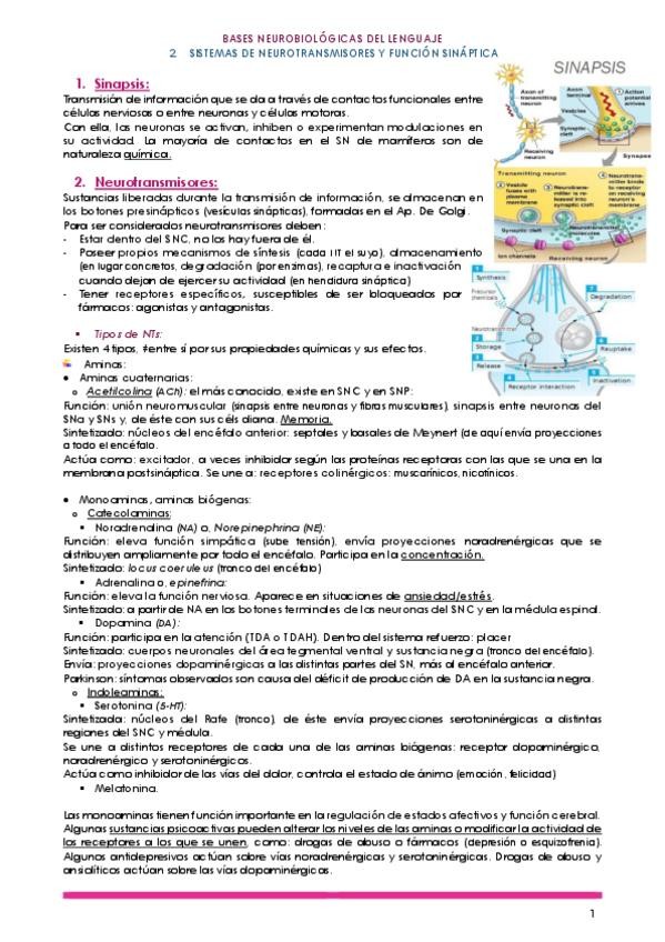 Miniatura del documento 2.pdf