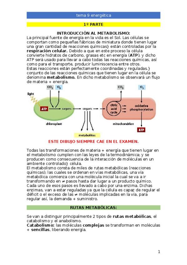 Miniatura del documento TEMA-9.docx