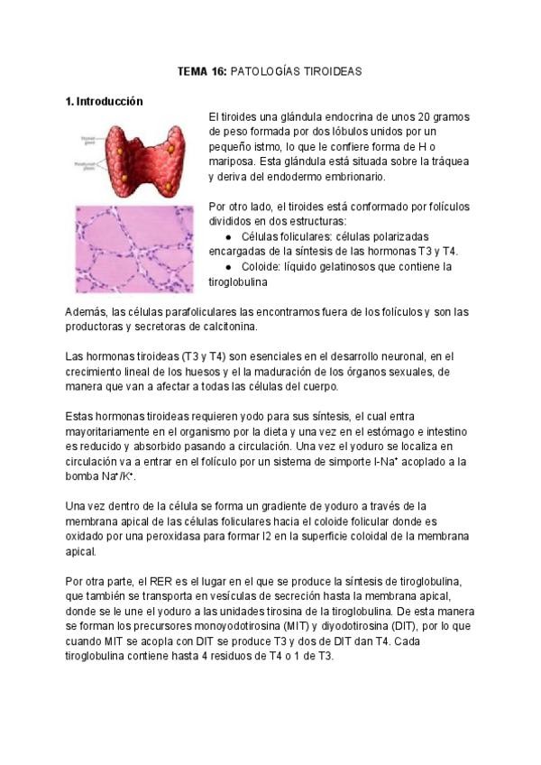 Miniatura del documento BQ-CLINICA-Y-PATOLOGIA-Tema-16.pdf