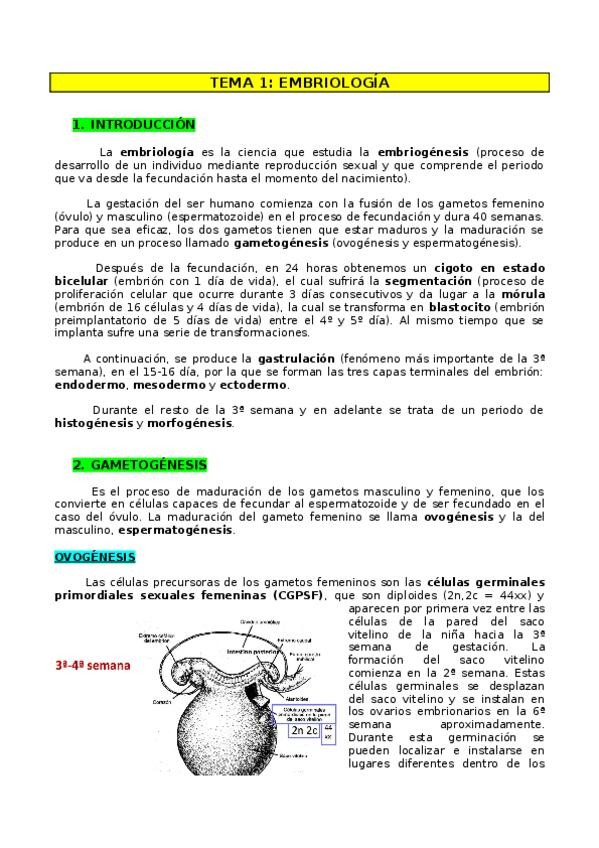 Miniatura del documento TEMA-1-ANATO.docx