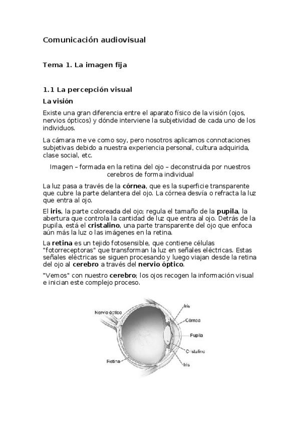 Miniatura del documento apuntes.docx