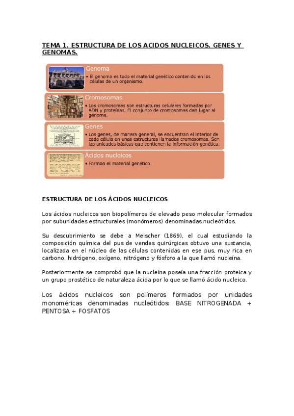Miniatura del documento TEMA-1.docx