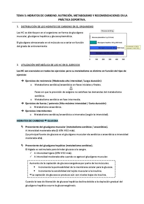 Miniatura del documento Tema-5-Hidratos-de-carbono.pdf